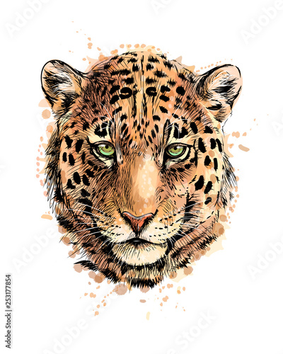 Portrait of a leopard head from a splash of watercolor