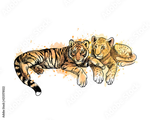 Lion Cub and tiger cub from a splash of watercolor