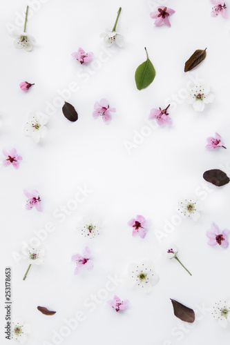Variety of pink and white blossoms pattern composition on white background. Easter, spring, summer concept. Flat lay, top view