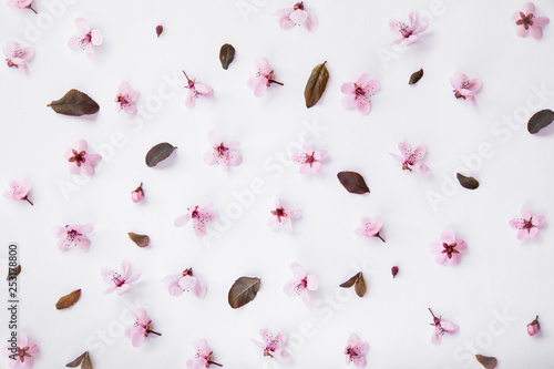 Pink cherry blossom pattern composition on white background. Easter, spring, summer concept. Flat lay, top view