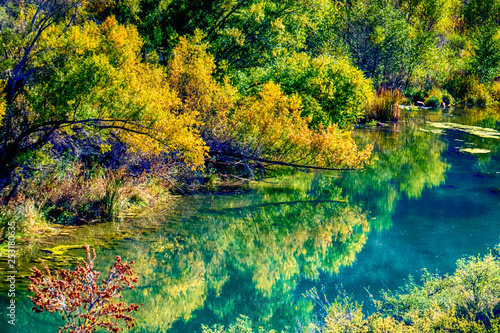 Along the Verde River