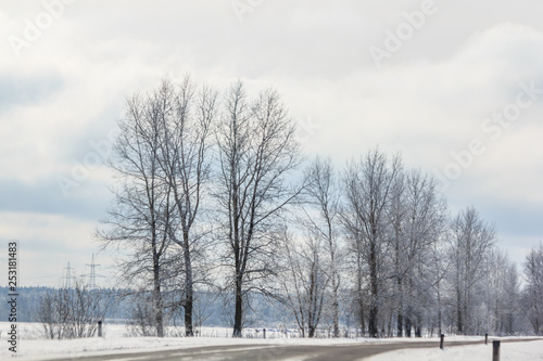 Snowy winter road. The road is covered up. Russian dear. Winter fairy tale