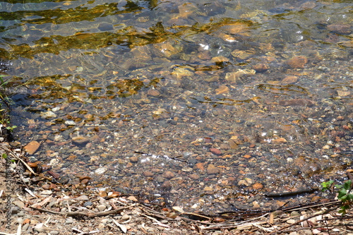 Riachuelo con piedras