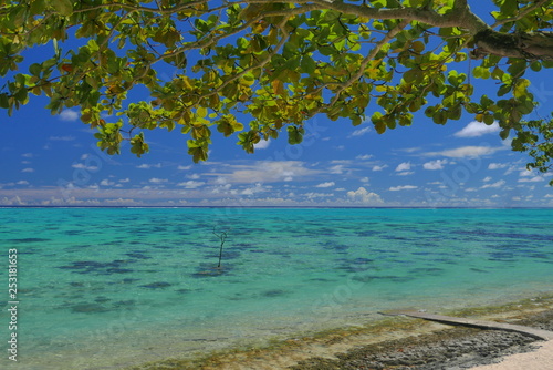 lagon de moorea polynesie française