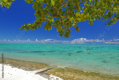Fototapeta Naklejka Na Ścianę i Meble -  lagon de moorea polynesie française