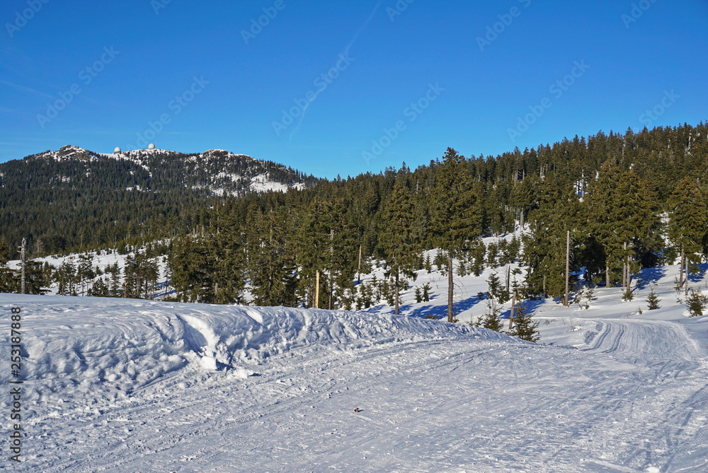Cross-country ski road in snowy country with green trees and blue sky in the background