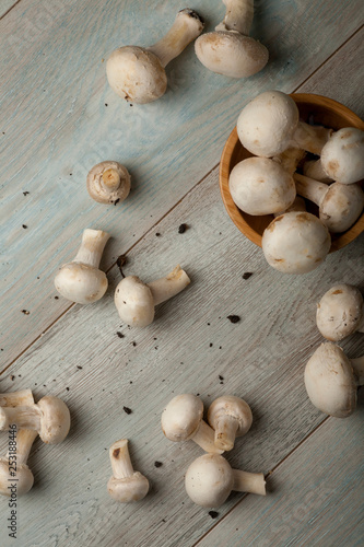 mushrooms closup on a wooden surface