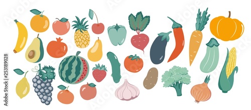 Fototapeta Naklejka Na Ścianę i Meble -  vector illustration of different vegetables in the flat style.vector illustration