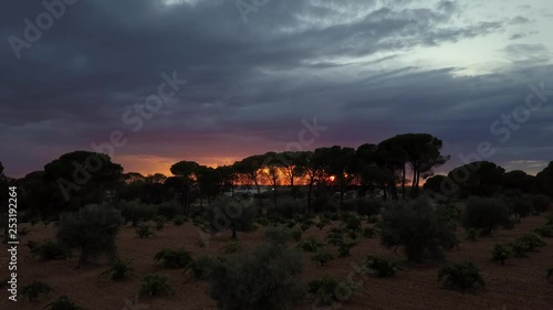 Aerial view of sunset over vineyards, pines and fields a stormy day