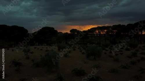 Aerial view of sunset over vineyards, pines and fields a stormy day