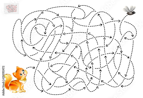 Logic puzzle game with labyrinth for children and adults. Help the kitten find the way till the fly. Printable page for brainteaser book. Vector cartoon image.