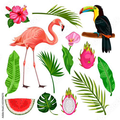 Summer tropical design elements on white background. Vector illustration of toucan, flamingo, palm leaves, dragon fruit.