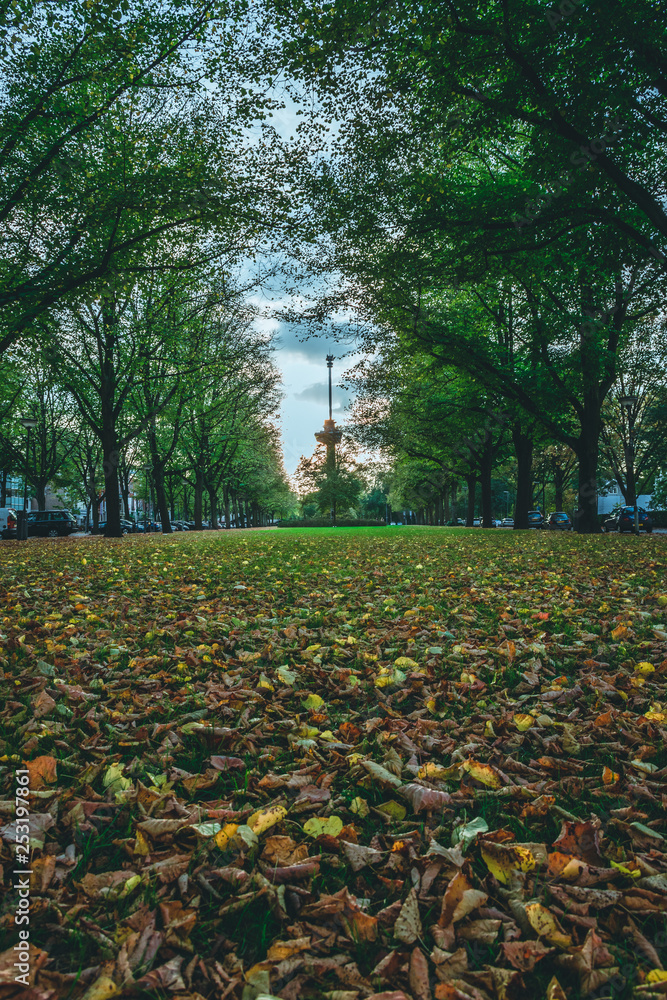 Obraz premium Harvest in Rotterdam