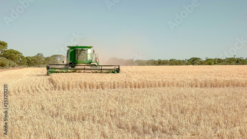 a combine harvester being used on a farm to harvest ripe barley approaches the camera