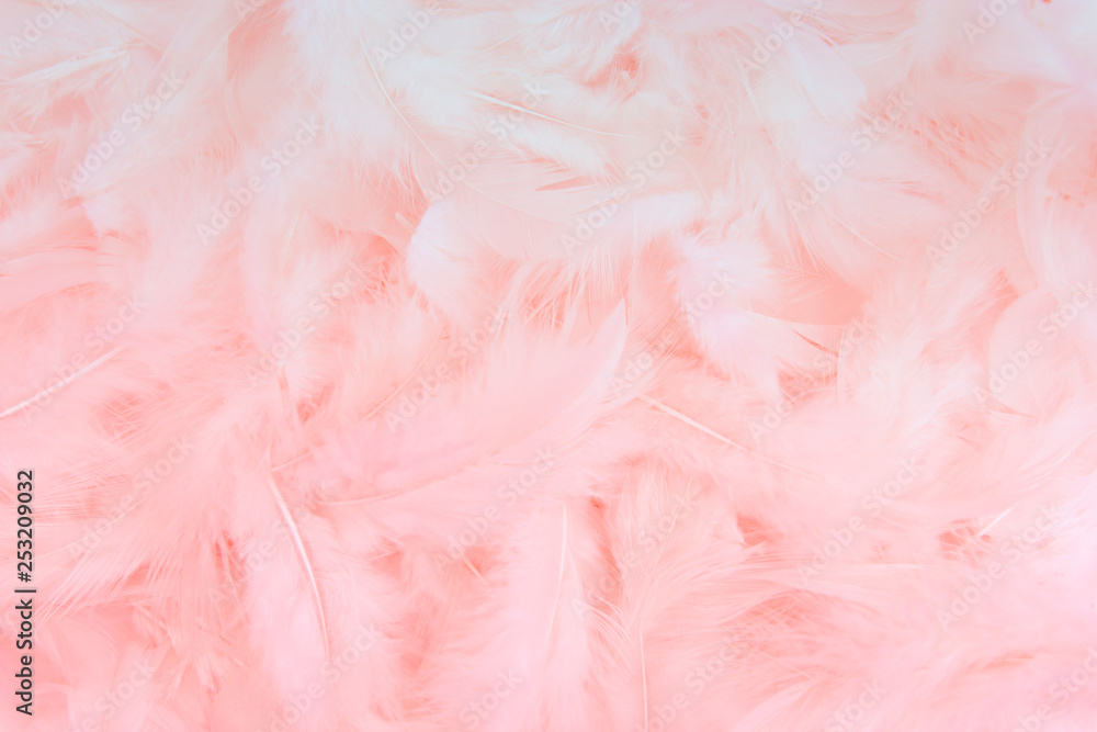 pink abstract background, pink feather background.
