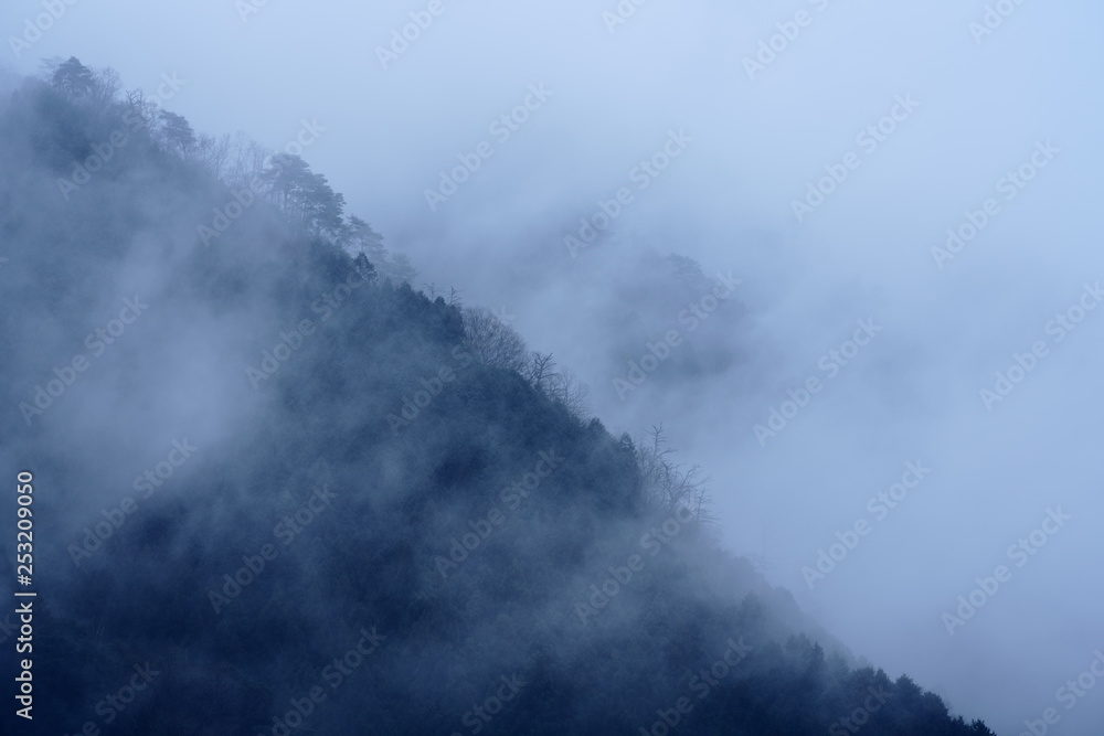 drizzle in mountain area in Japan