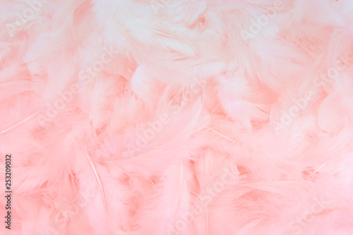 pink abstract background, pink feather background.