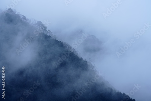 drizzle in mountain area in Japan © A.MIYAKE