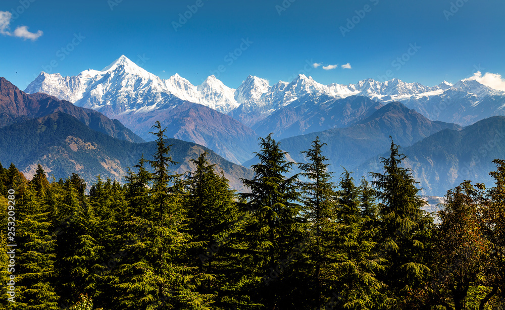 Himalaya Panchchuli range snow peaks with pine trees and scenic landscape view at Munsiyari Uttarakhand.