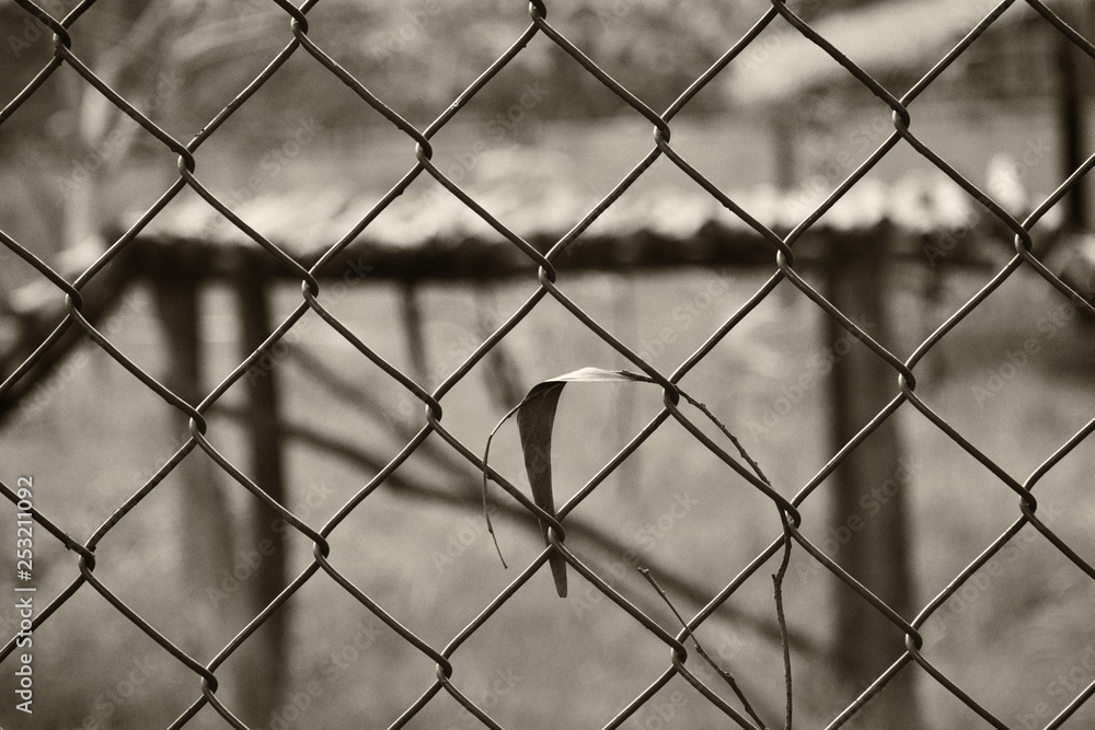 an abstract black and white back ground image of an ironed fence