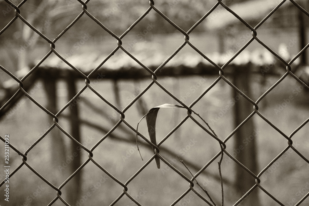an abstract black and white back ground image of an ironed fence an abstract black and white back ground image of an ironed fence