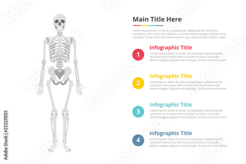 human skull infographics template with free space of text with various color and description - vector illustration
