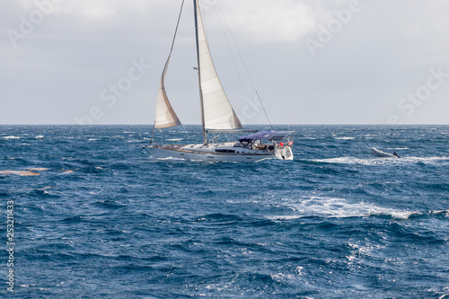 Saint Vincent and the Grenadines, sailboat at sea