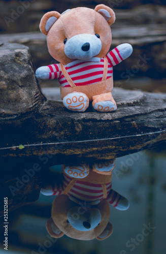 teddy bear water reflection