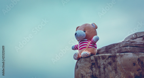 teddy bear on a rock