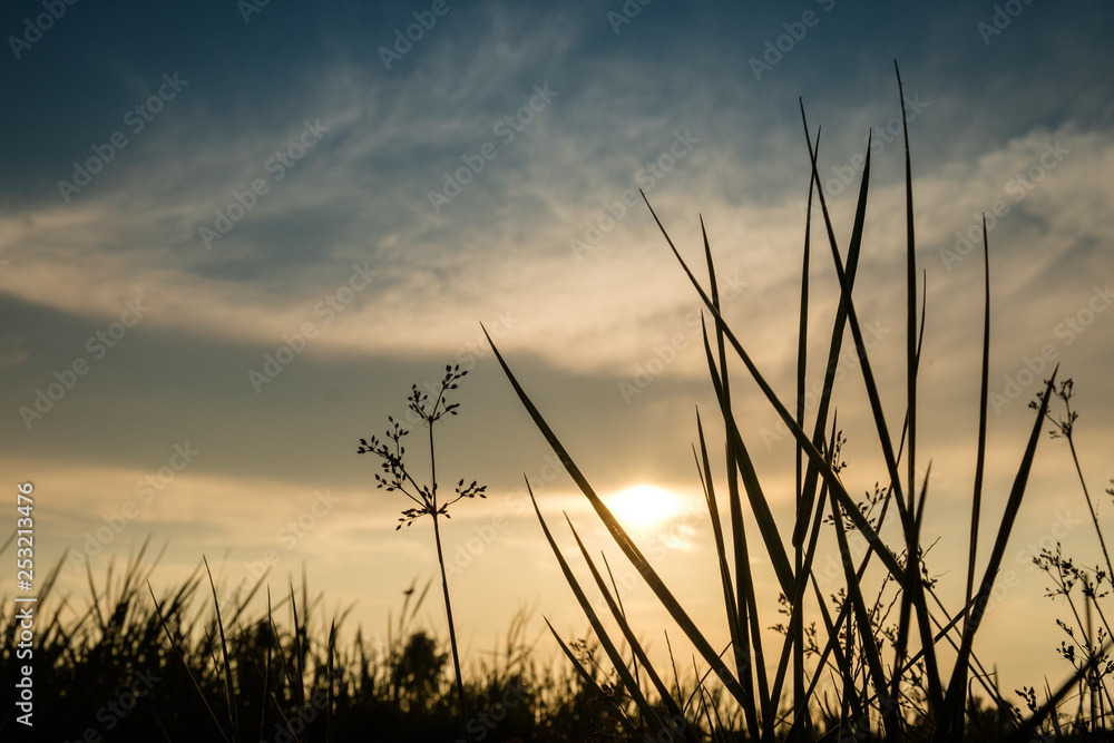 grass dances in the afternoon at sunset 2 grass dances in the afternoon at sunset 2