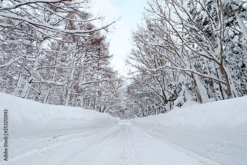 Wallpaper Mural 【青森八甲田】厳冬期の八甲田山中の道路 Torontodigital.ca