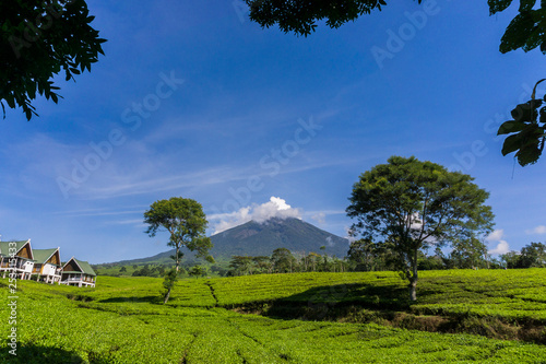 Mount Dempo with a stretch of tea gardens and blue sky in the city of Pagaralam, South Sumatra photo