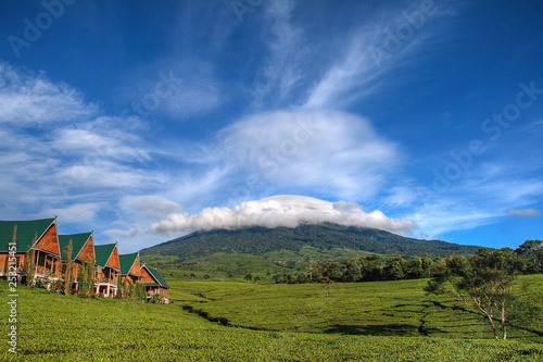 Mount Dempo with a stretch of tea gardens and blue sky in the city of Pagaralam, South Sumatra photo