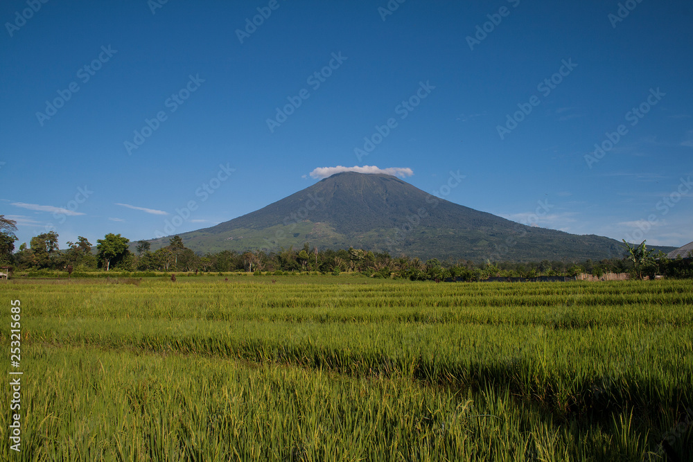 Landscape of Dempo Mountain at Pagaralam, South Sumatera, Indonesia.