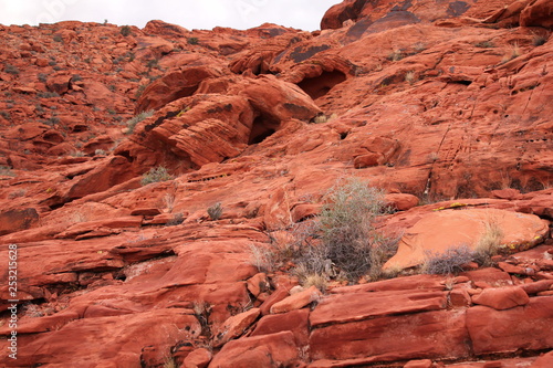 Red rock desert