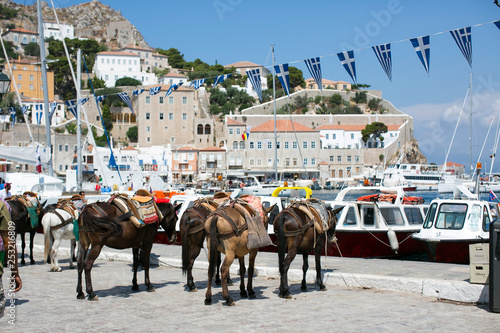 Horses standing by the pier on Hydra Island Greece