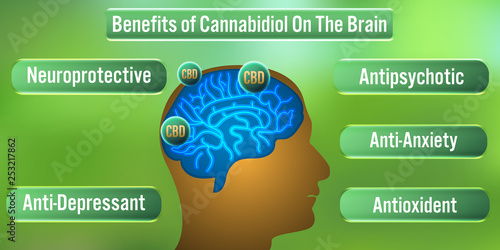 The Brain Benefits of CBD (Cannabidiol) Oil.