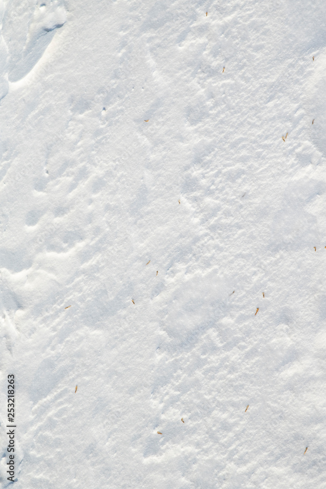 Snow winter background. Top view of snow texture.
