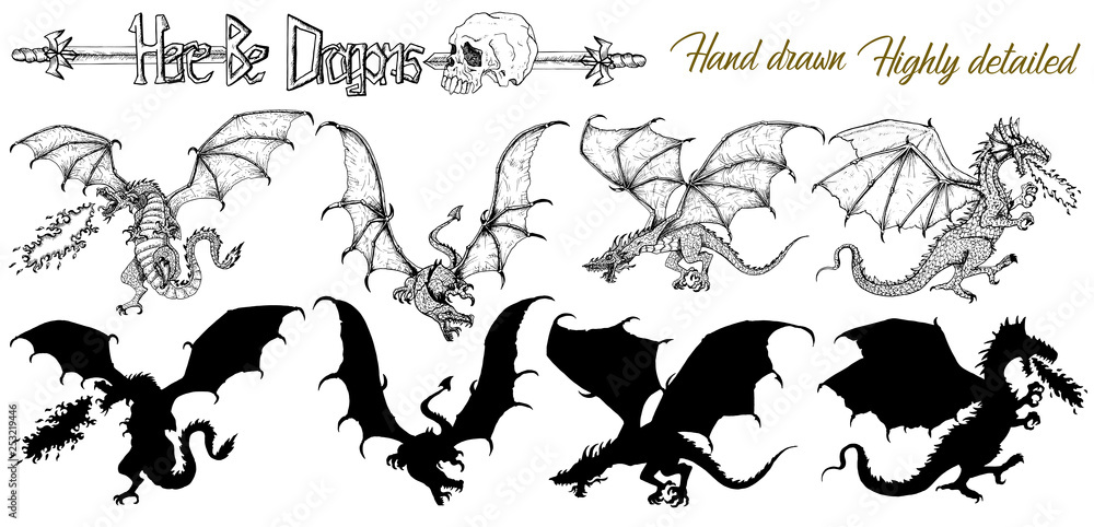 Set with hand drawn realistic detailed dragons and silhouettes on white. Vector sketch of tattoo fantasy concept and t-shirt design. Graphic line art illustration
