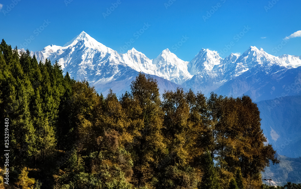 Obraz premium Himalaya snow peaks of Panchchuli range with pine trees and scenic landscape view at Munsiyari Uttarakhand.