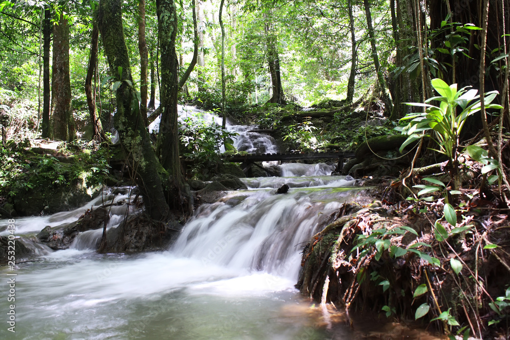 waterfall .Landscape of waterfall in deep rain forest 