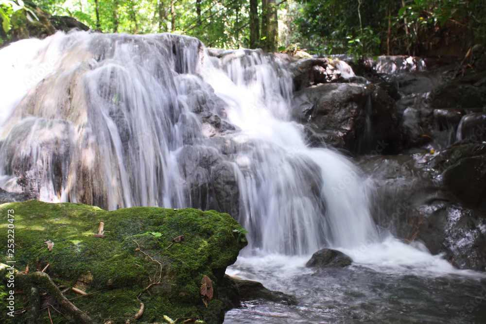 Fototapeta premium waterfall .Landscape of waterfall in deep rain forest 