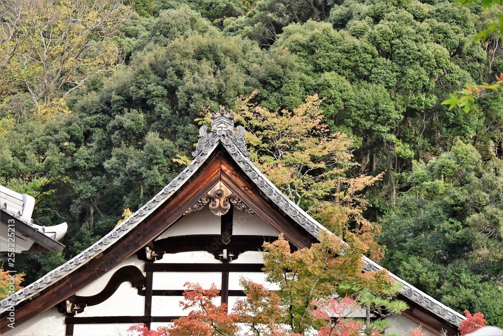 秋 京都 秋 京都