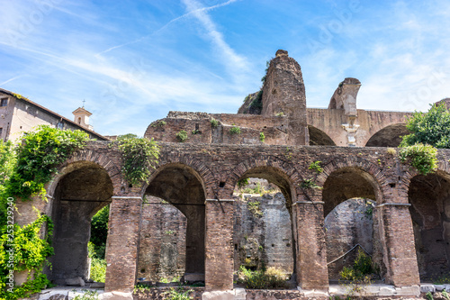 Photography The ancient ruins at the Roman Forum, Palatine hill in Rome
