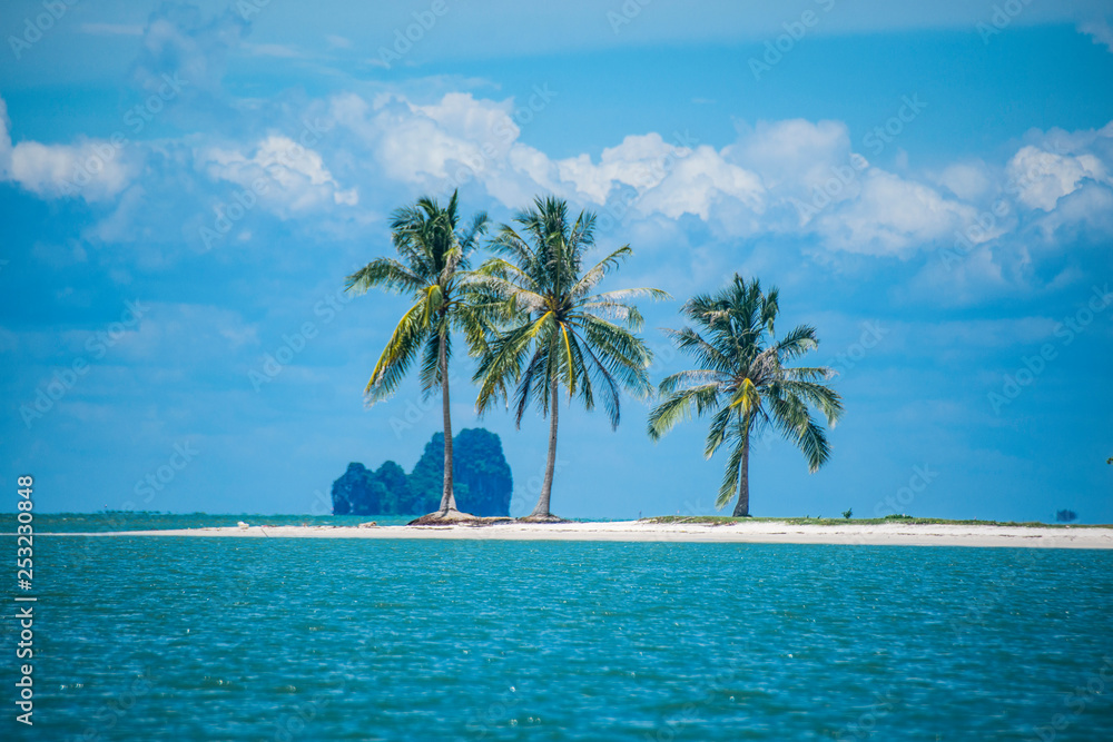 Coconut trees on white sand beaches in Thailand