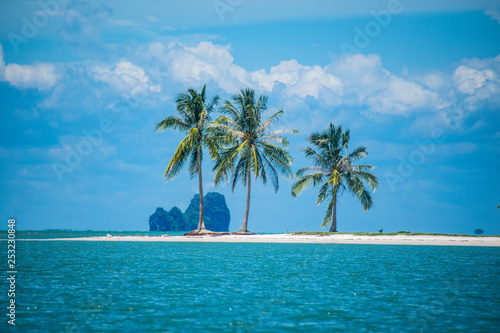 Fototapeta Naklejka Na Ścianę i Meble -  Coconut trees on white sand beaches in Thailand