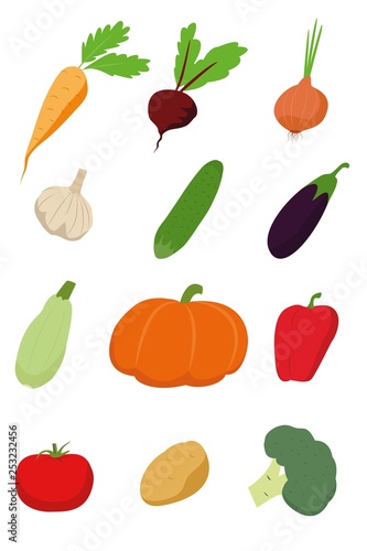  vegetables set illustration