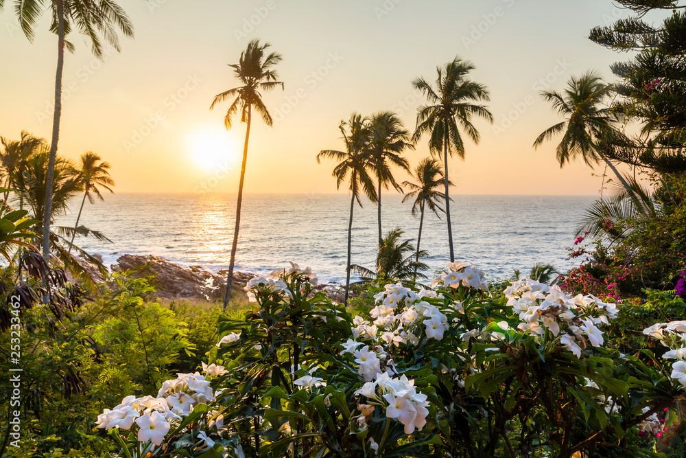 Palm trees and flowers on the ocean at dawn.