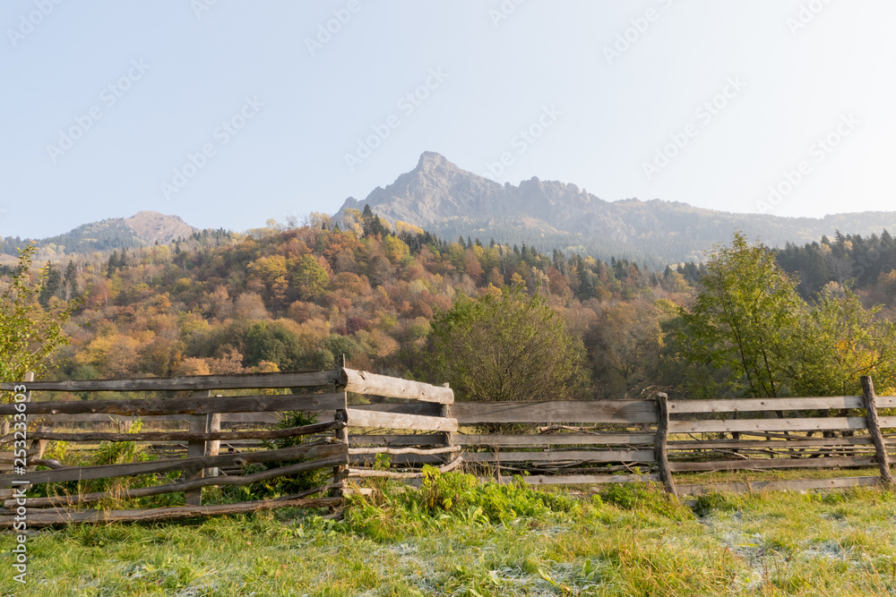 first rays of the sun. Dawn in the mountains. Autumn landscape, yellow trees. Defoliation.