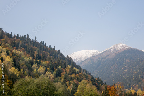 first rays of the sun. Dawn in the mountains. Autumn landscape, yellow trees. Defoliation.